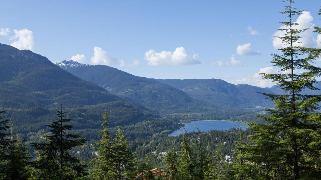 Kadenwood 2939 - Luxury Ski Chalet, Hot Tub, Media Room, Steam Room - Whistler Platinum photo 4