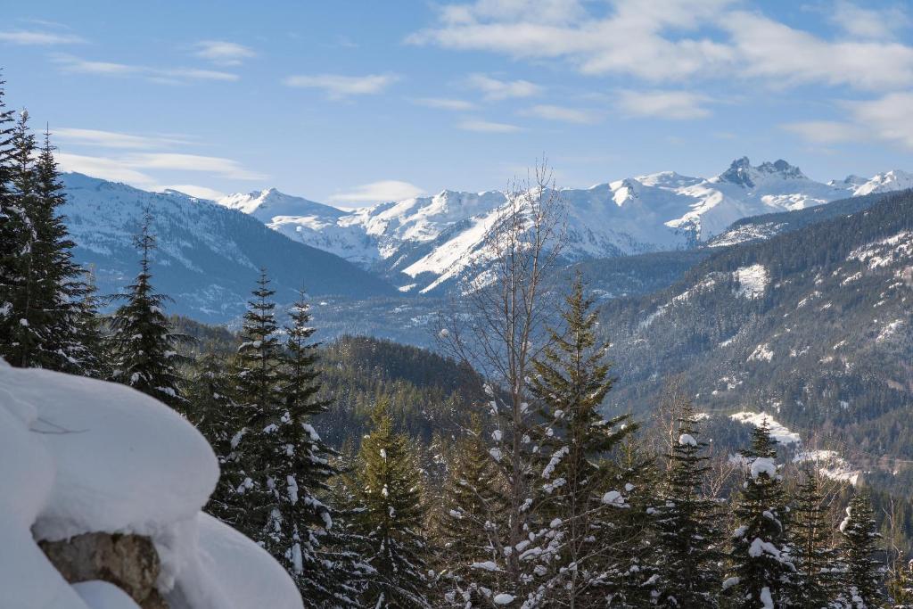 Kadenwood 2927 - Luxury Ski Retreat, Private Gondola Access, Jacuzzi - Whistler Platinum photo 2