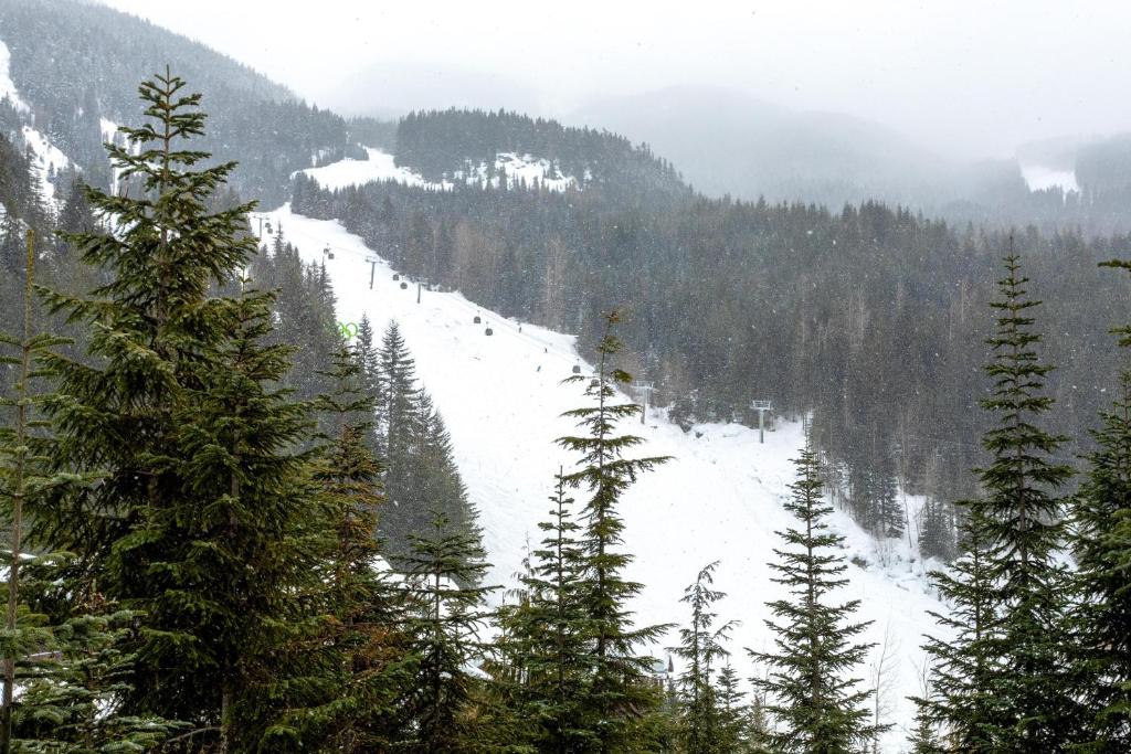 Taluswood The Heights 6 - Beautiful Chalet with Private Hot Tub, Slopeside Views, & Parking - Whistler Platinum photo 1