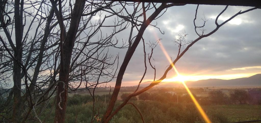 Dar Fatima repas gratuit pt dejeuner dejeuner diner photo 4