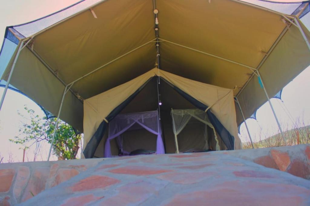 leruk Maasai safari camp photo 3