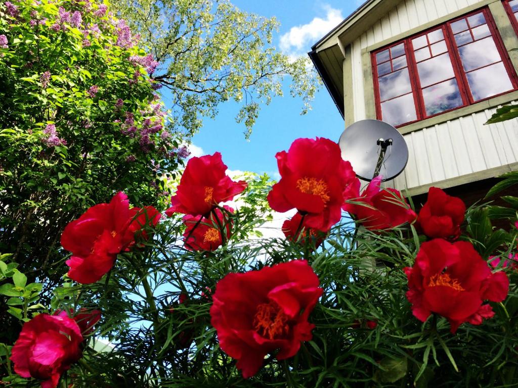 Sweden Slow Living photo 3
