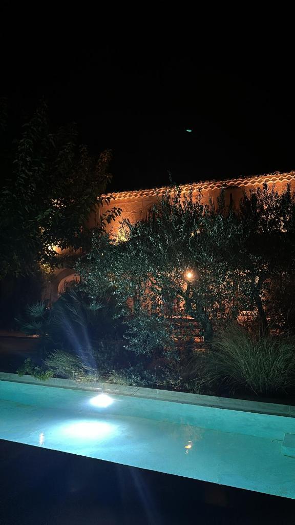 Mas au Paradou photo 1