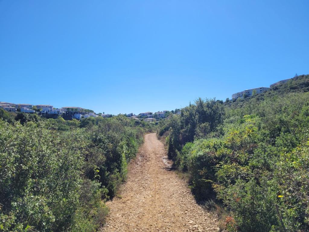 F2 "Les Coquelicots", terrasse et piscine privée photo 2