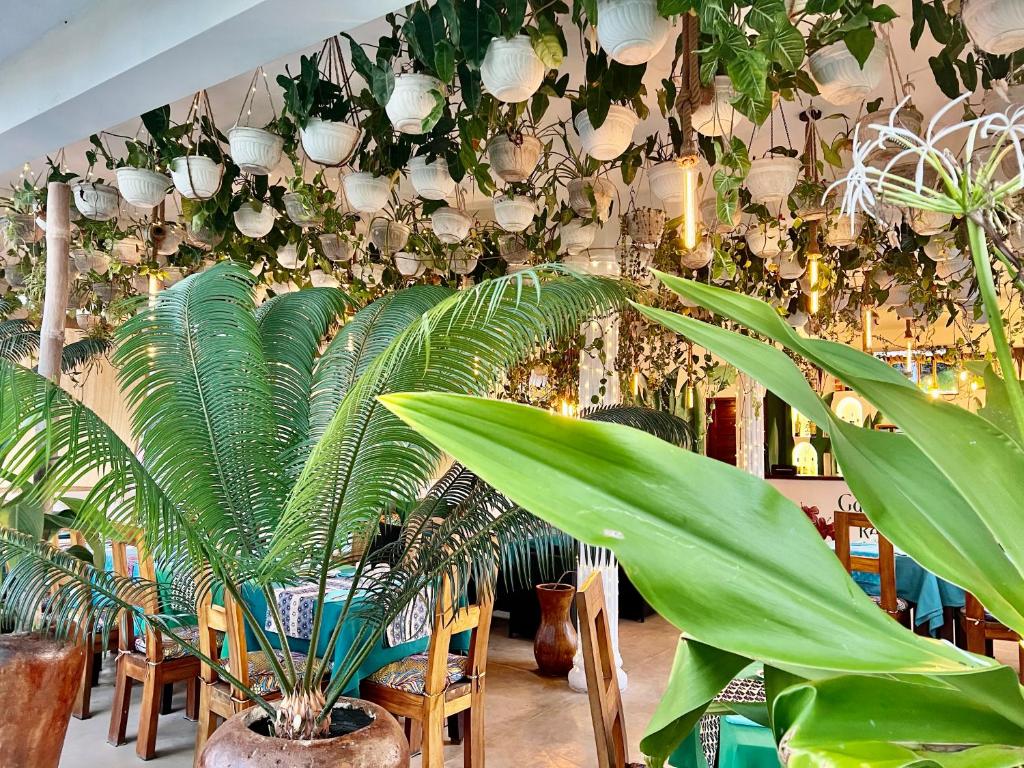 Gadea Boutique Hotel& Gadea Garden Italian Restaurant photo 2