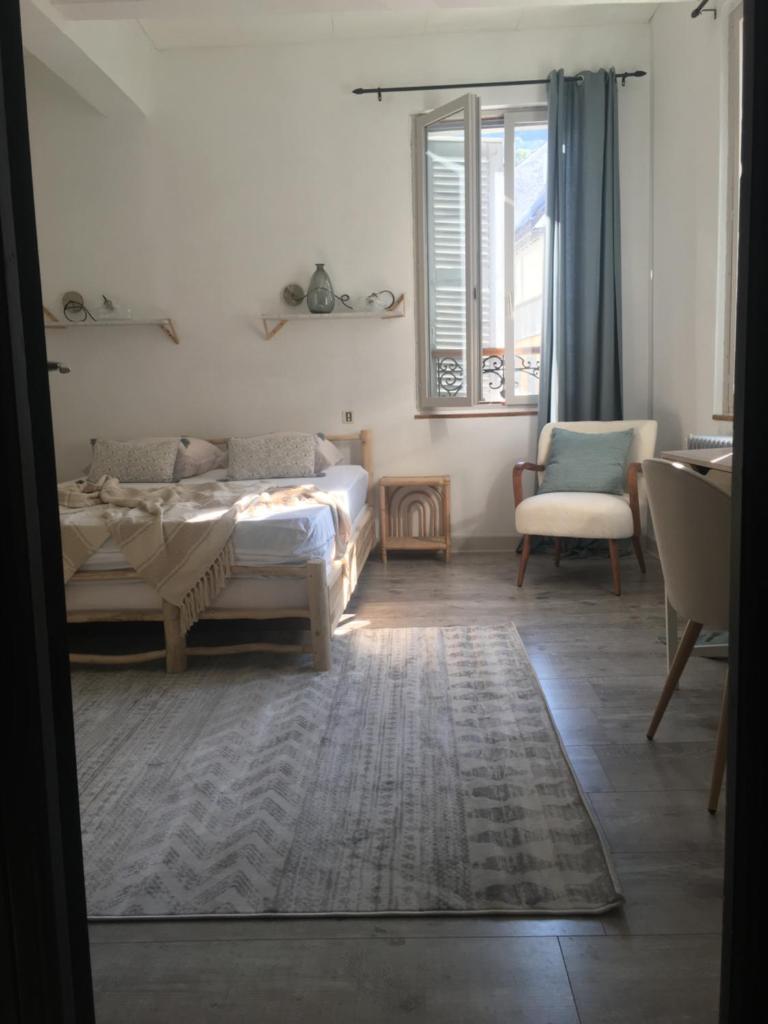 «Coeur de vie » logement hyper centre de Bagnères de Bigorre photo 1
