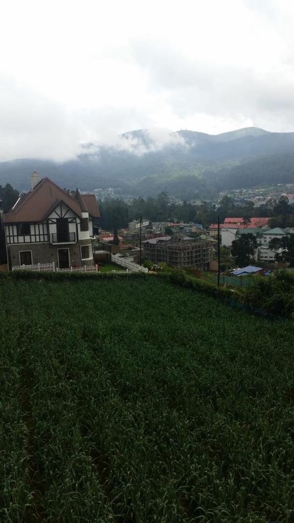 Villa de Roshe photo 3