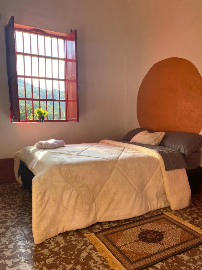 Habitación Caoba photo 2