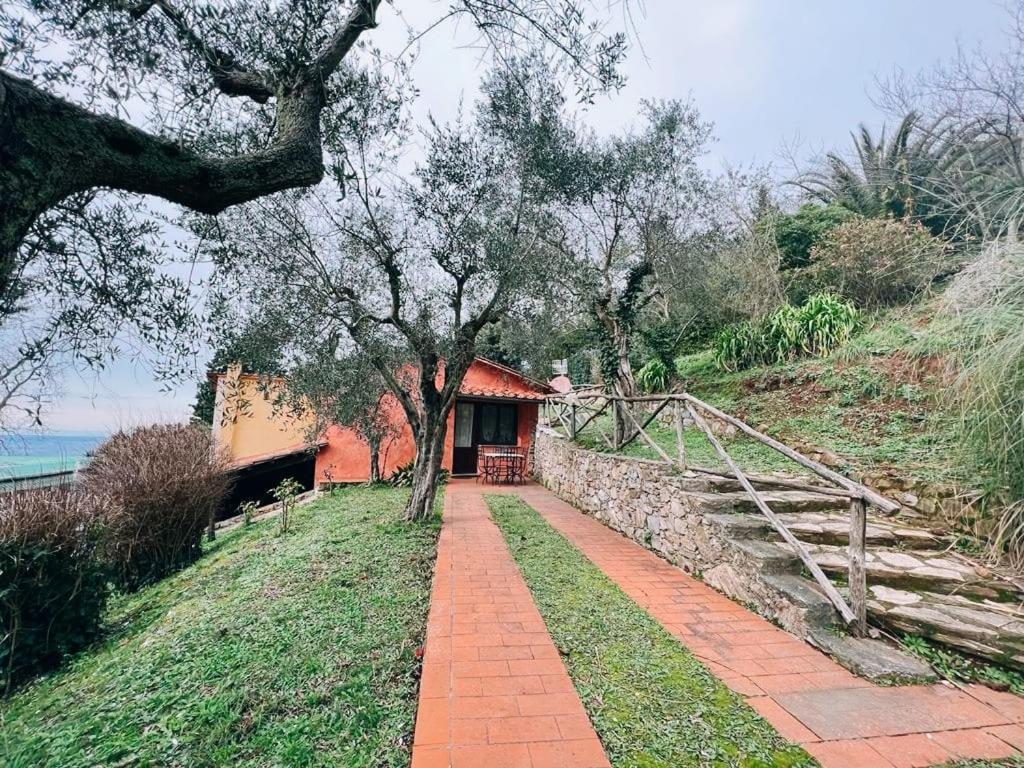 Borgo degli Aranci photo 1