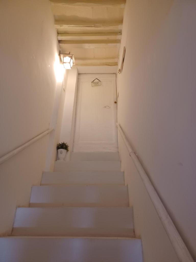 Il bosco sul Tevere Guest house photo 4