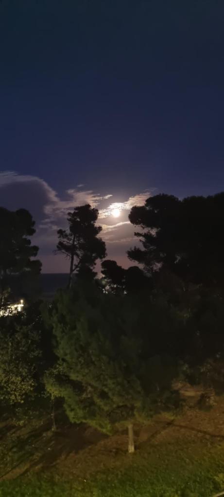 Casamare Royal photo 2