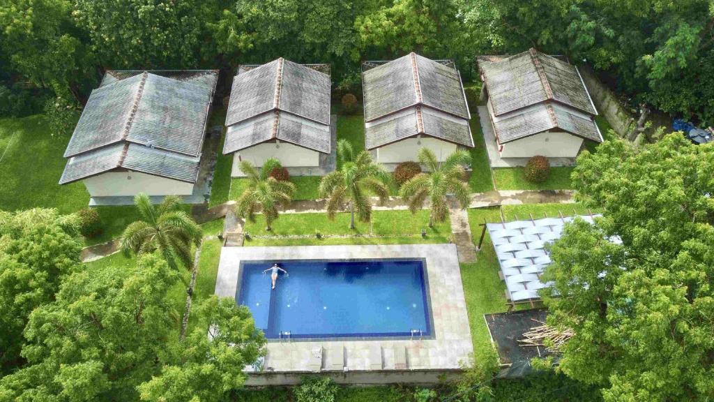 Jungle Paradise photo 3