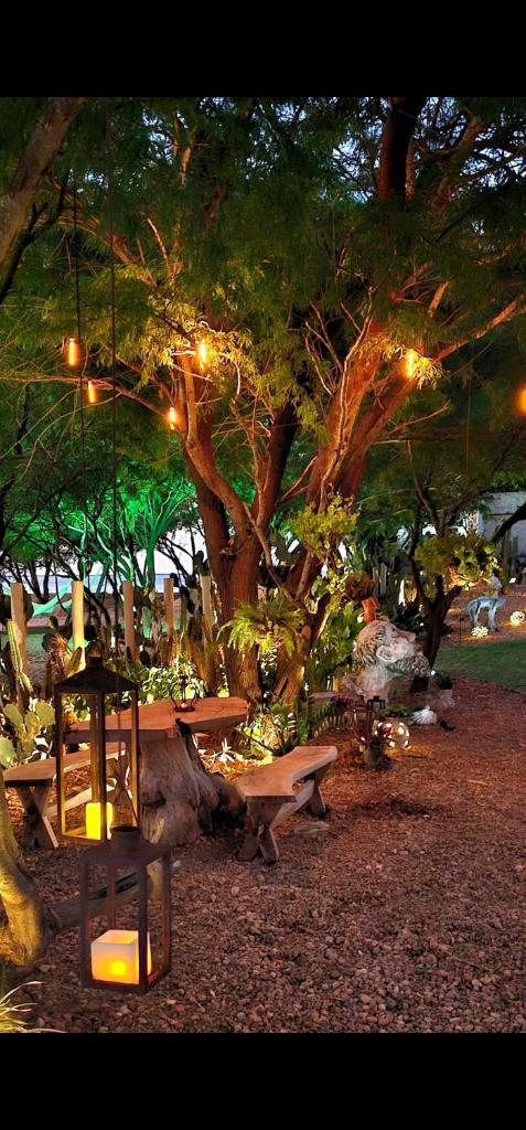 Casa Cactus Praia photo 3