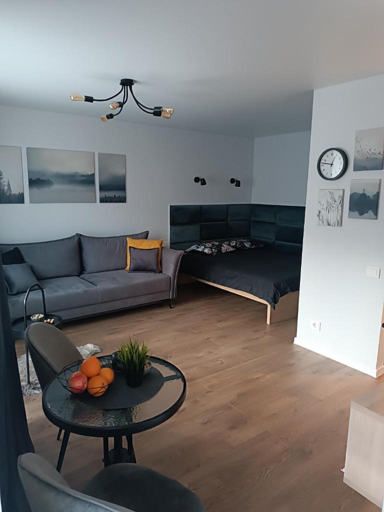Alyvų tako studija photo 3