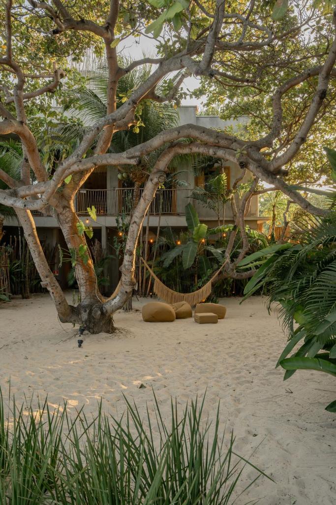 Villa Mango Jeri