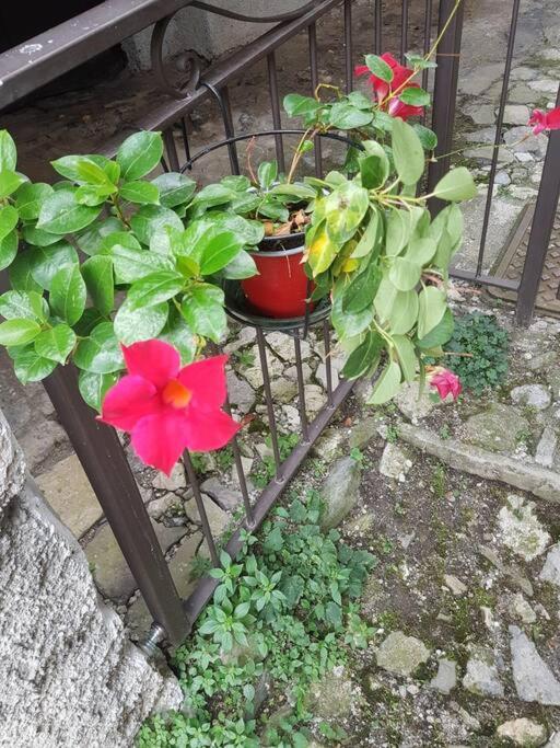 LA CORTE DELLA CARLA - cozy home in the old court photo 1