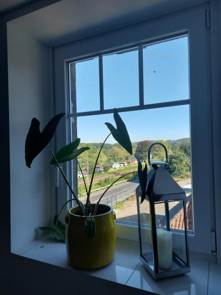 Ferienwohnung Witten Gederbach photo 3