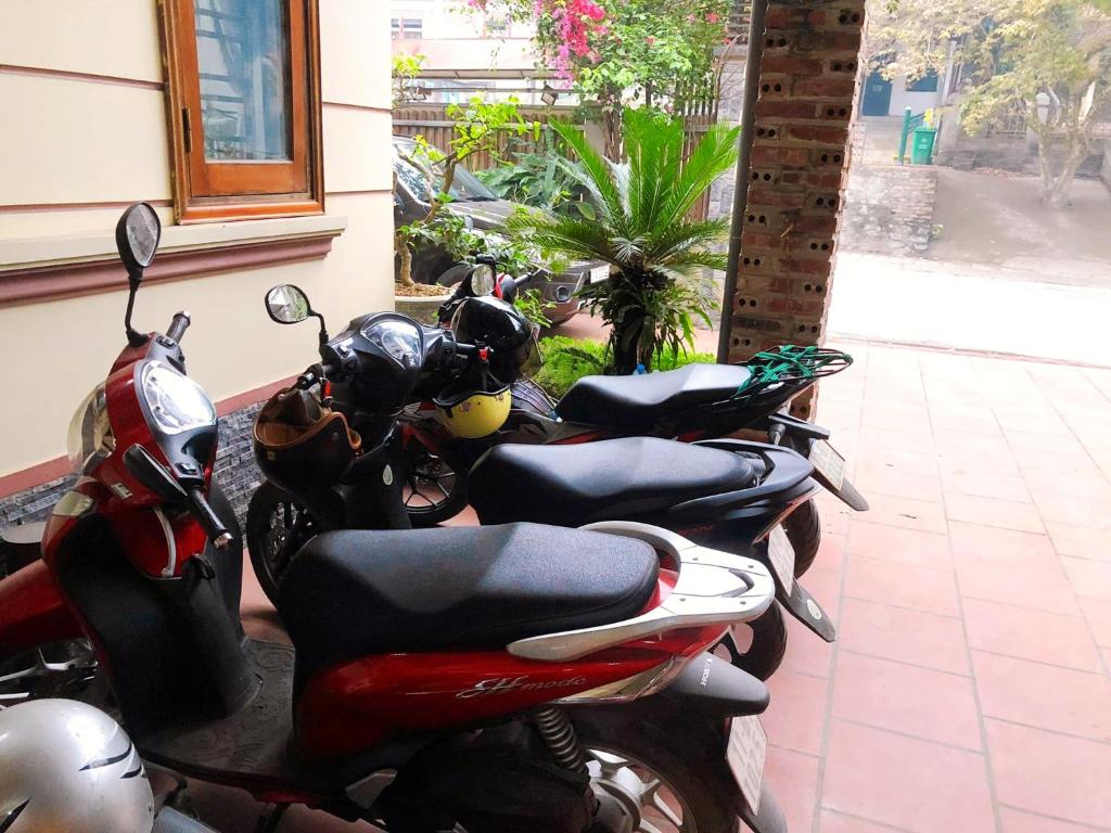 Gia Bảo Homestay