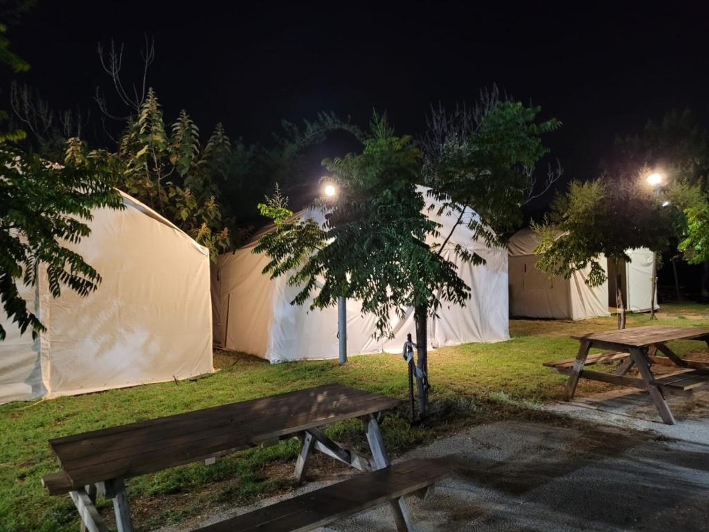 חאן דרך העץ - אוהל ממוזג וקמפינג photo 1