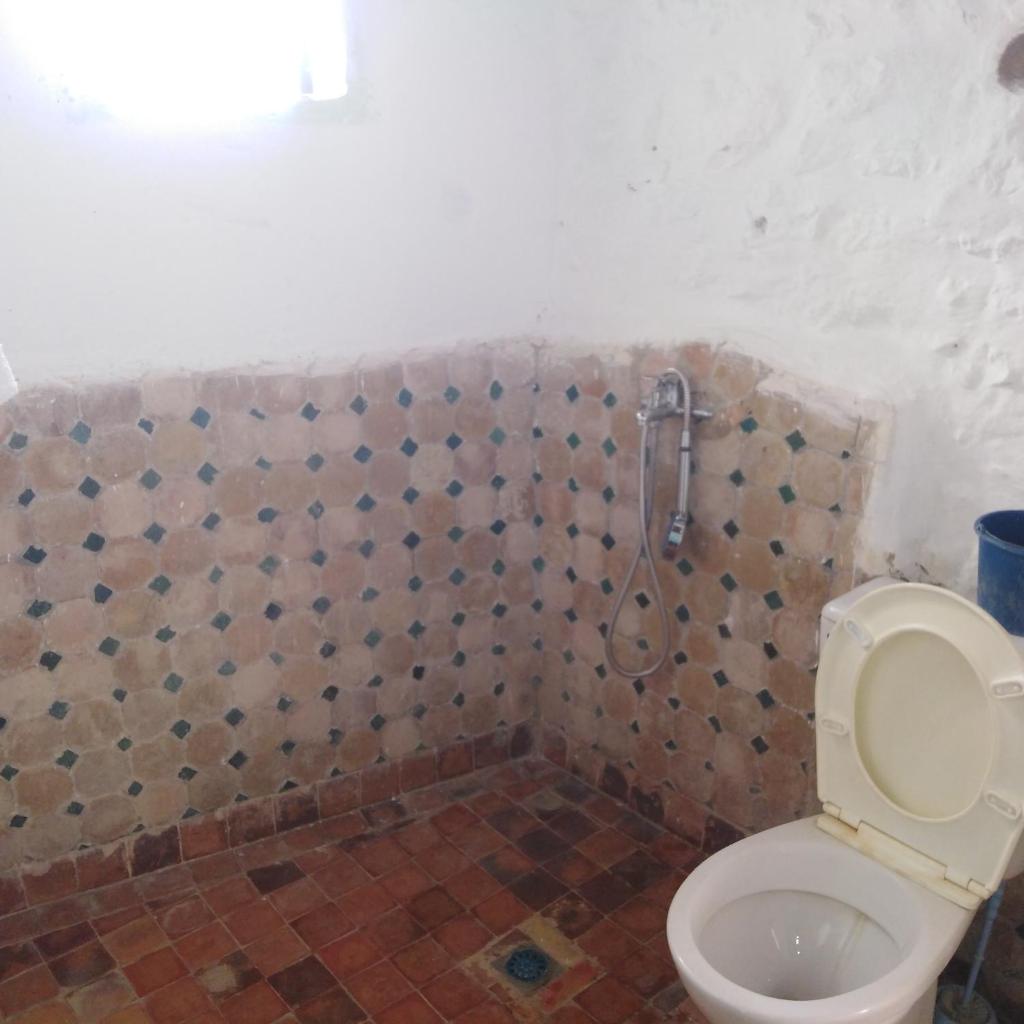 Fertassa mtls photo 2