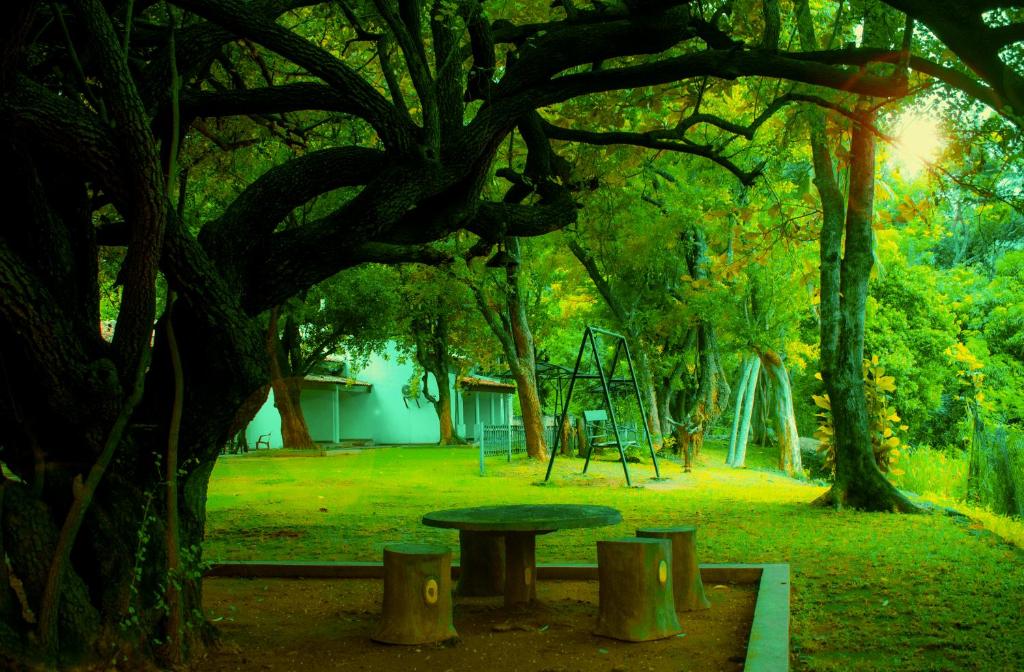 New Rest House Inn