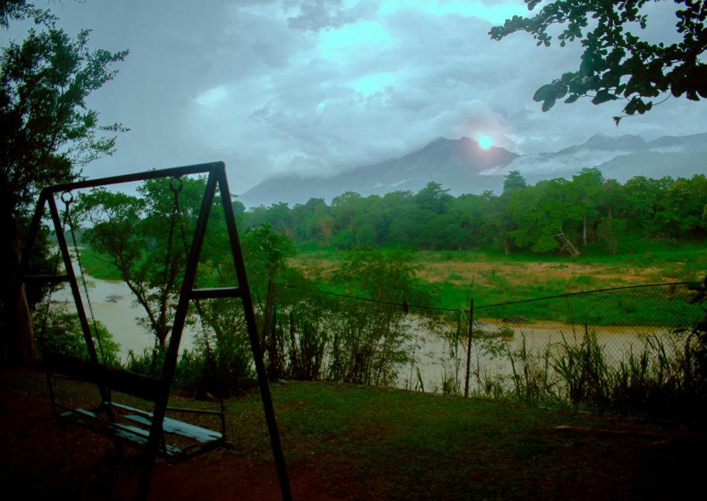 New Rest House Inn photo 3