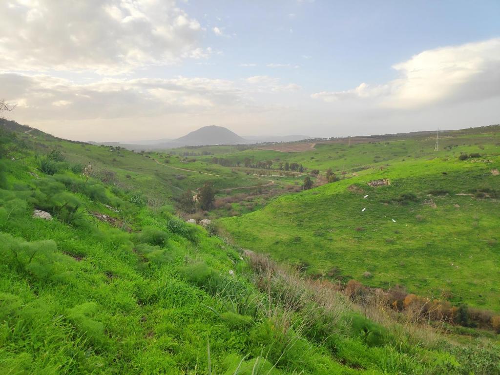 אור בתבור, אירוח בכפר תבור. photo 3