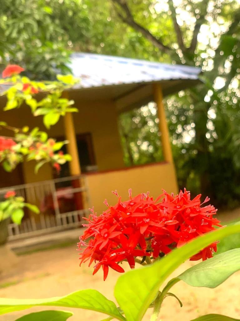 Yapahuwa Relax Stay photo 1