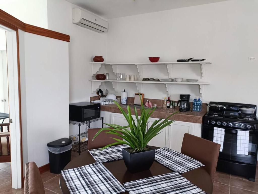 Casa Maya photo 1