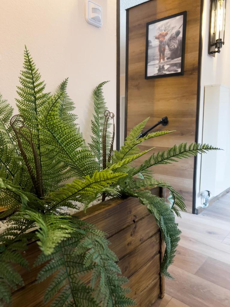 FeWo Ottobeurens Schmuckstück: Gemütlich-Stylische Wohnung photo 2