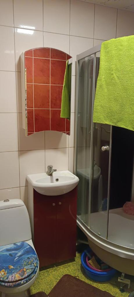 Trumpalaikė nuoma photo 1