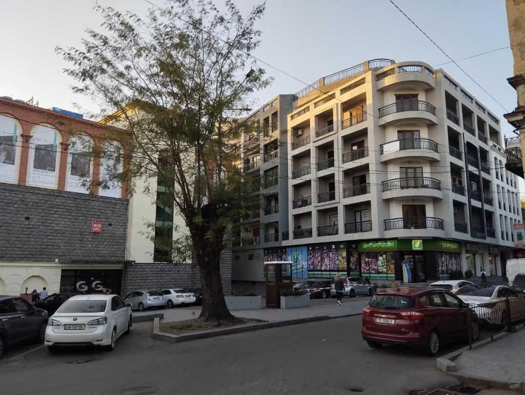 House number 1 in kutaisi photo 1