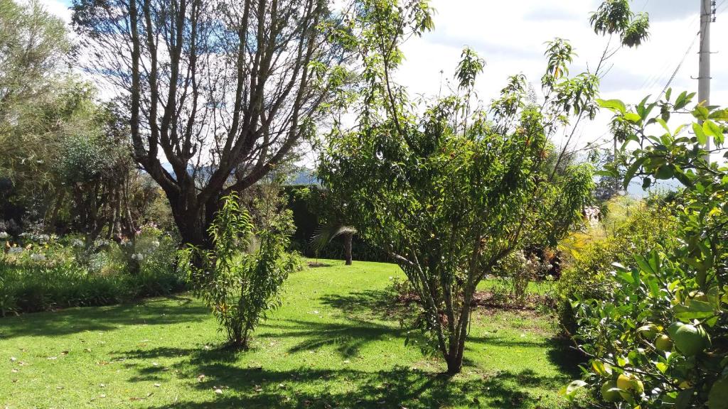 Quinta de Bruno photo 3