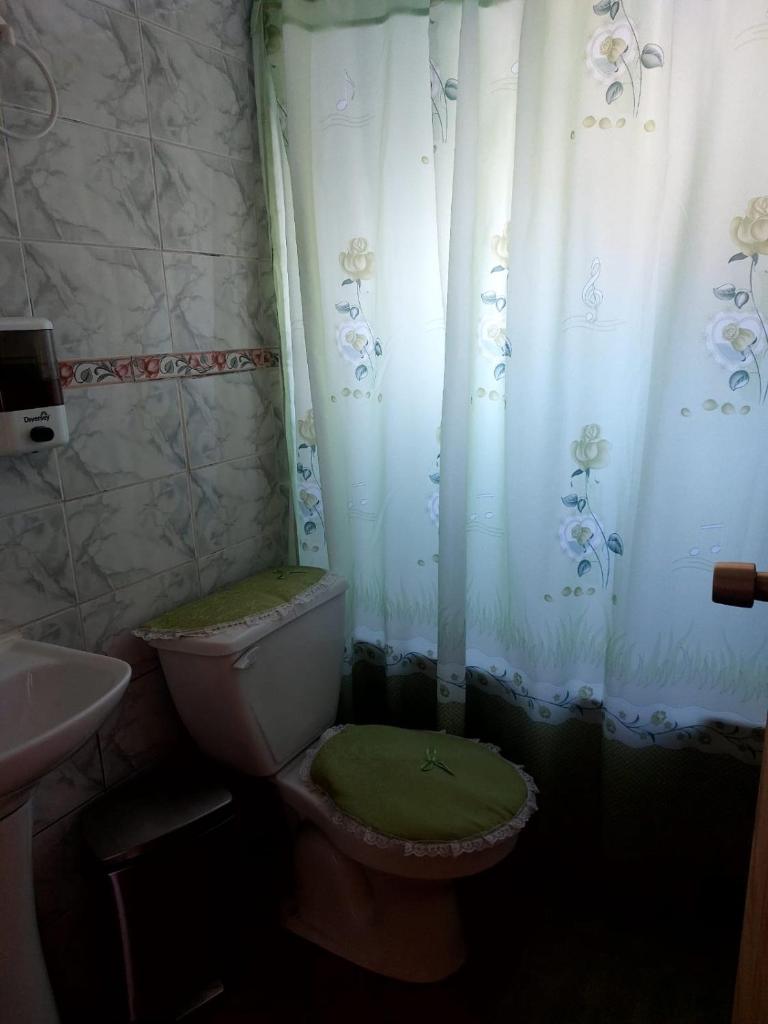 Hostal y Cabañas Ventisquero photo 4
