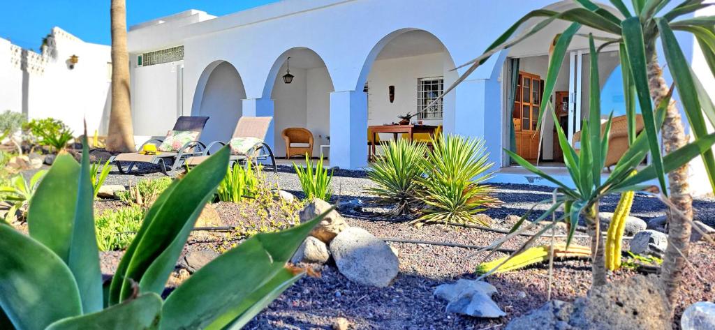 Casa Perrito Gris photo 3