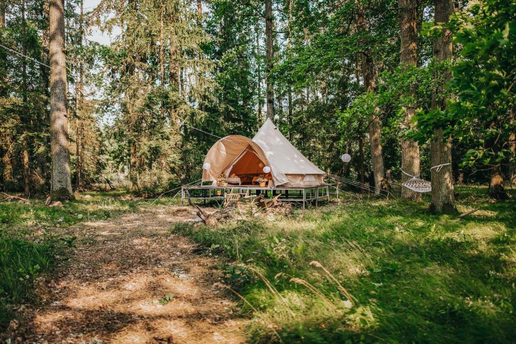 Glamping Černická obora photo 4
