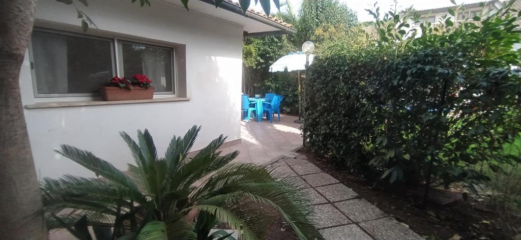 Peppe House