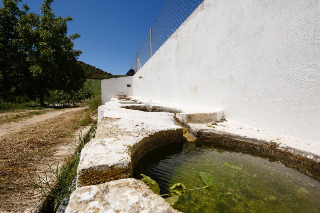 villa chopo photo 3