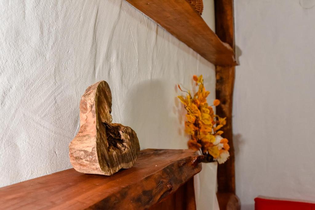 Kuća za odmor Petra photo 2
