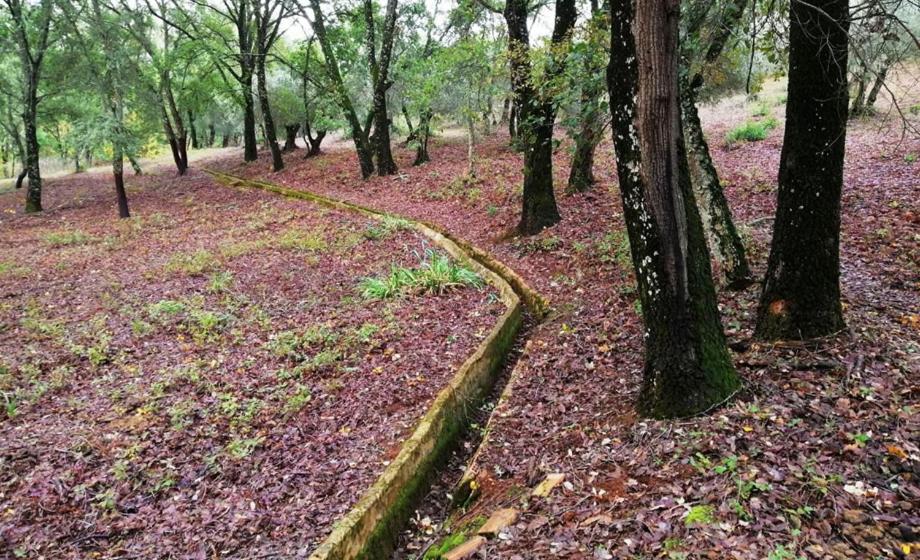 FINCA LA LISERILLA photo 2