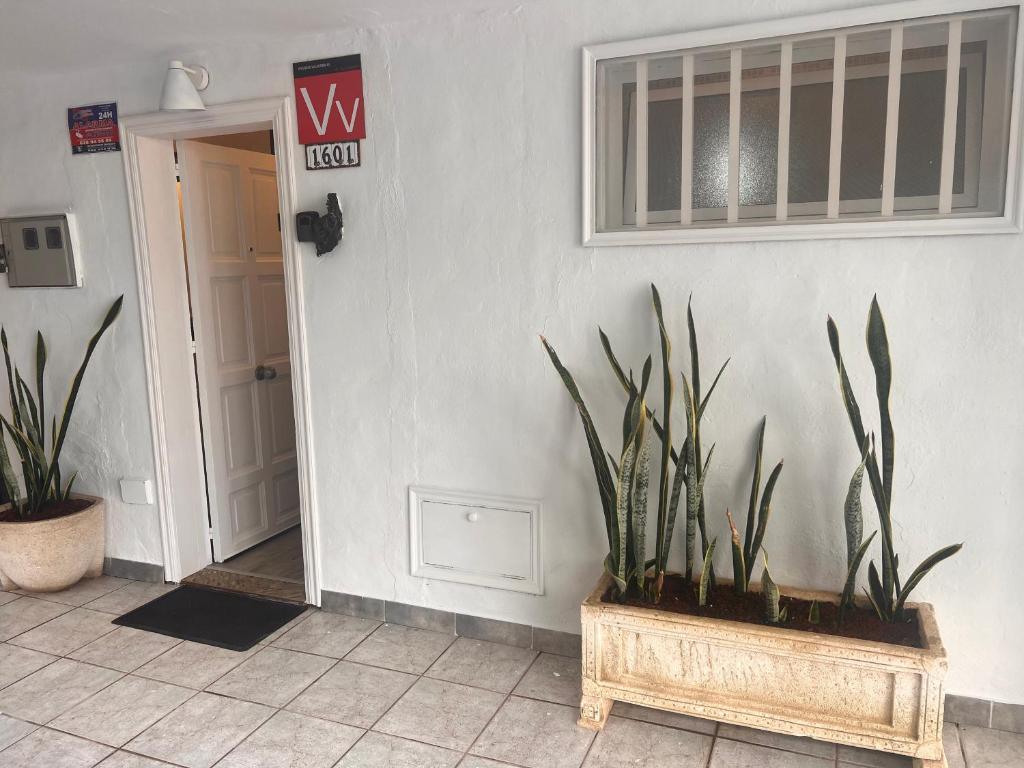 Budda house Puerto del carmen. photo 4