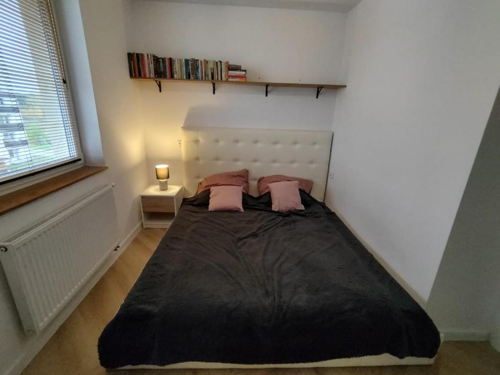 Kurze Gniazdo Kurzętnik photo 3