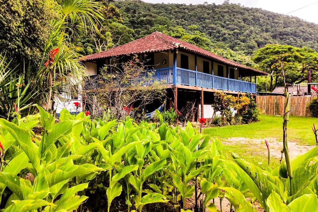 Casa de campo na mata/Piscina/Casemiro de Abreu