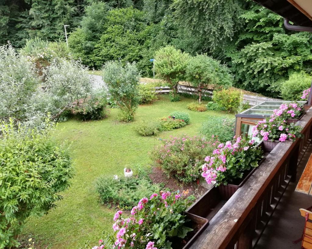 Haus Waldblick photo 4