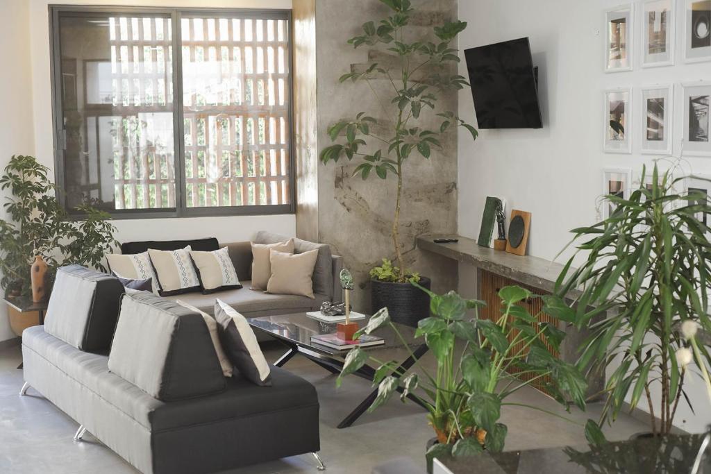 CASA LUMBA photo 4