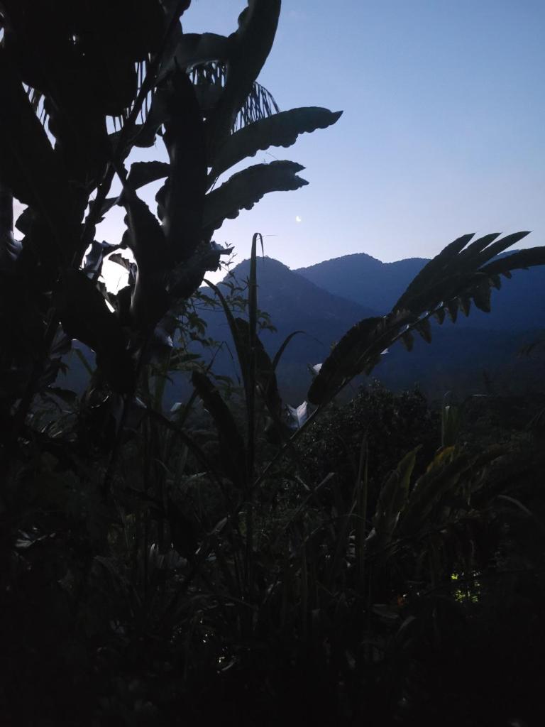 Vista pra montanha