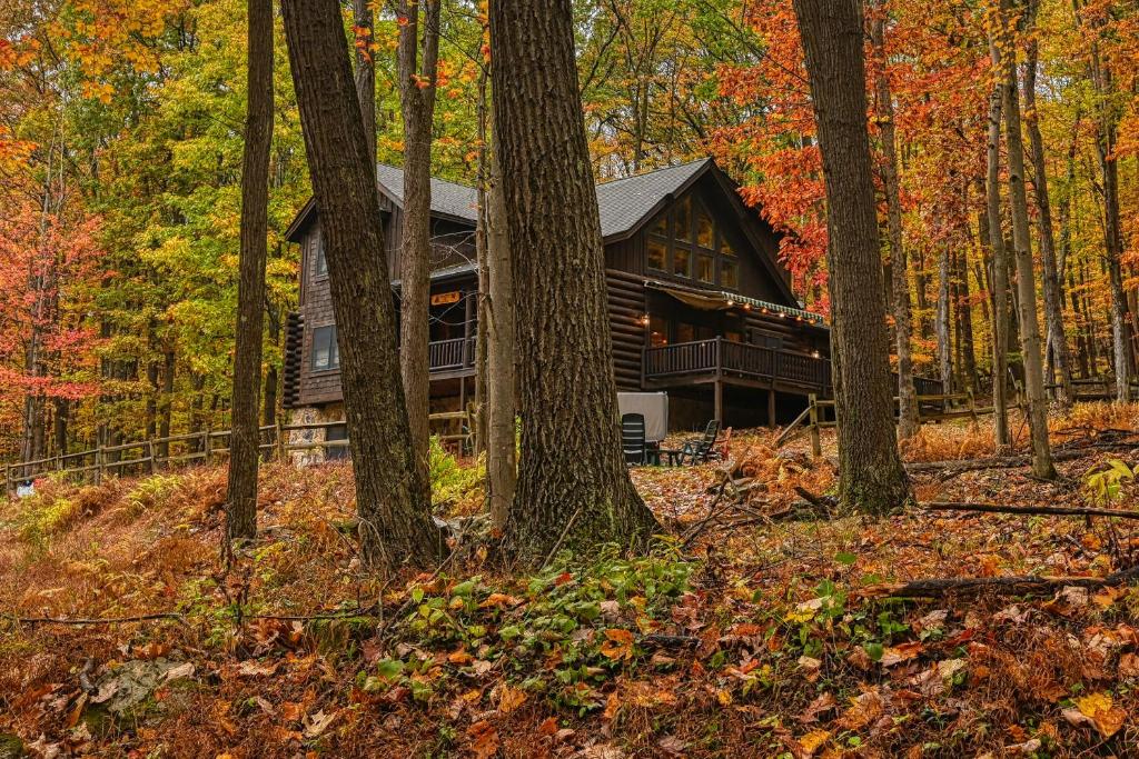 Hundred Acre Wood photo 2