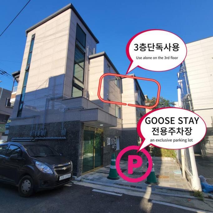 Goose Stay photo 3