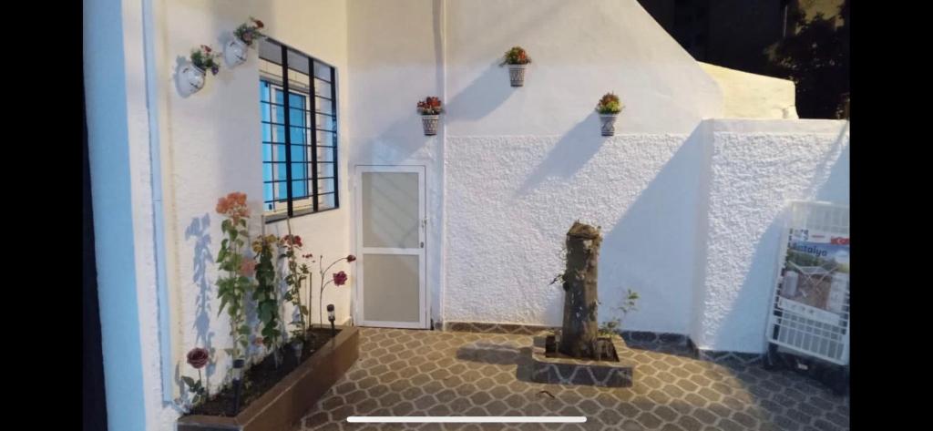 Lovely house with garden photo 3