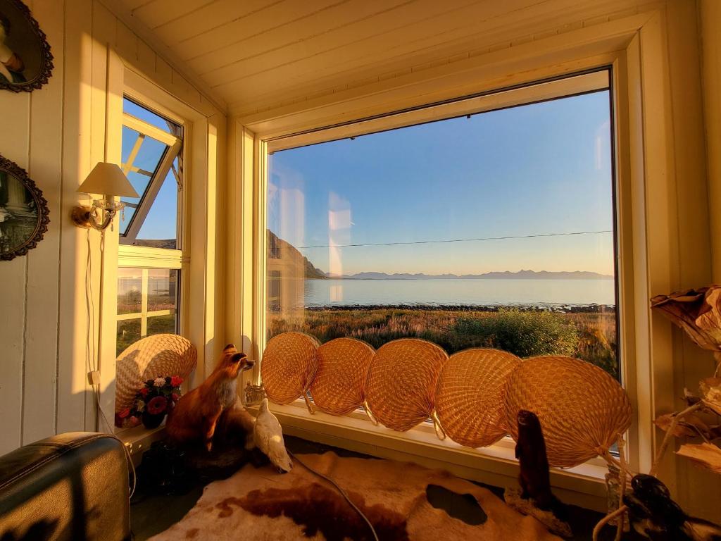 Nøss Panorama photo 2